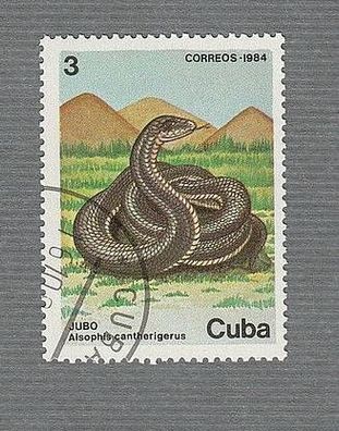 Kuba - Schlangen - (Alsophis cantherigerus ) - o