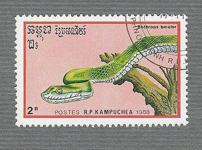 Kambotscha-Schlangen - Palmlanzenottern (Bothrops bicolor ) - o