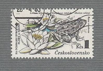 CSSR - Reptilien -Teichfrosch (Rana esculenta) - o
