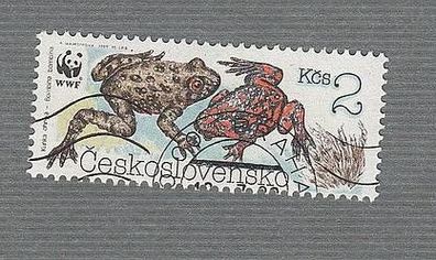 CSSR - Reptilien - Rotbauchunke ( Bombina bombina) - o