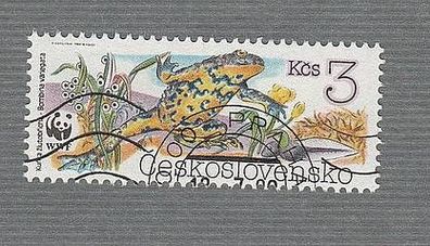 CSSR - Reptilien - Gelbbauchunke (Bombina variegata) - o