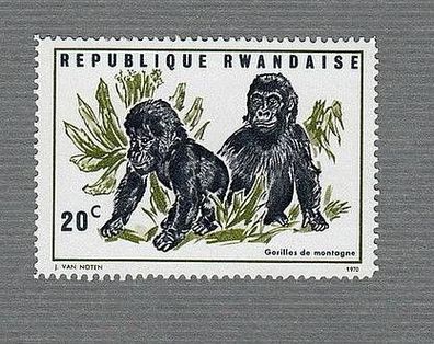 Junge Gorillas - postfrisch
