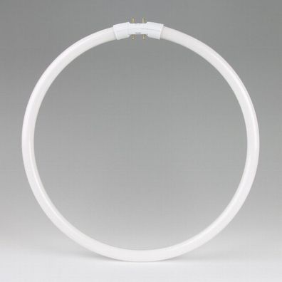 Osram T5 Ringform Leuchtstofflampe 22W/840 kaltweiß