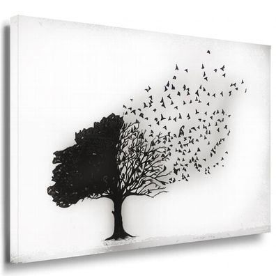 Baum Schwarz Weiß Herbst Leinwandbild AK ART Bilder XXL Kunstdruck