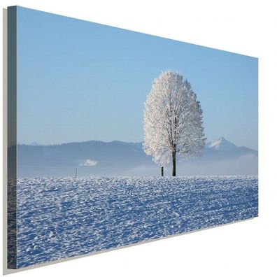 Verschneite Winterlandschaft Baum Weiß Leinwandbild AK ART Wanddeko Wandbild XXL