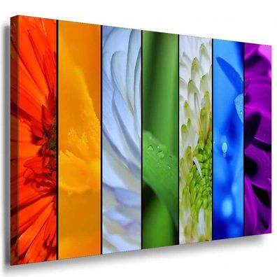 Blumen Makro Abstrakt Leinwandbild / AK Art Bilder / Mehrfarbig + Kunstdruck XXL