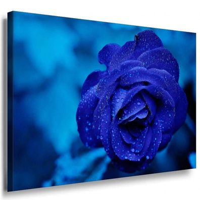 Blaue Rose Leinwandbild / AK Art Bilder / Mehrfarbig + Kunstdruck XXL Wandbild