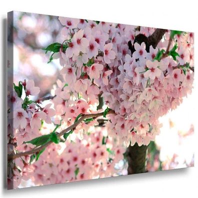 Weiße Kleine Blumen Leinwandbild / AK Art Bilder / Mehrfarbig + Kunstdruck XXL