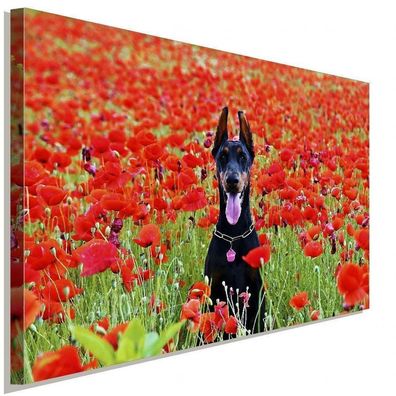 Doberman mit roten Blumen AK Art Bilder| Kunstdruck Made in Germany Leinwandbild