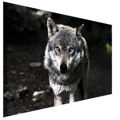 Weißer Wolf Wald Leinwandbild AK Art Studio Wanddeko Wandbild Kunstdruck XXL