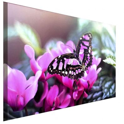 Rosa Schmetterling Blume Leinwandbild AKArt BIlder Wanddeko Wandbild Kunstdruck