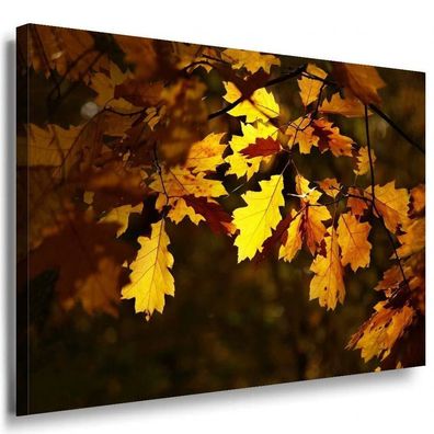 Herbst & Laubblätter Leinwandbild AK Art Bilder Mehrfarbig Wandbild Kunstdruck