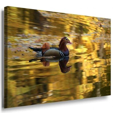 Ente & See Leinwandbild AK Art Bilder Mehrfarbig Wandbild Kunstdruck Wanddeko