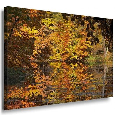 Herbst & Wald Leinwandbild AK Art Bilder Mehrfarbig Wandbild Kunstdruck Wanddeko