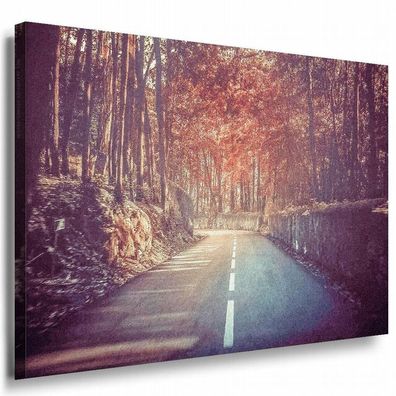 Straße Herbst Bäume Leinwandbild AK Art Bilder Mehrfarbig Kunstdruck XXL TOP