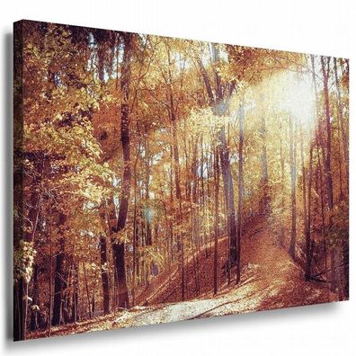 Wald herbst Blätter Leinwandbild AK Art Bilder Mehrfarbig Kunstdruck Wandbild