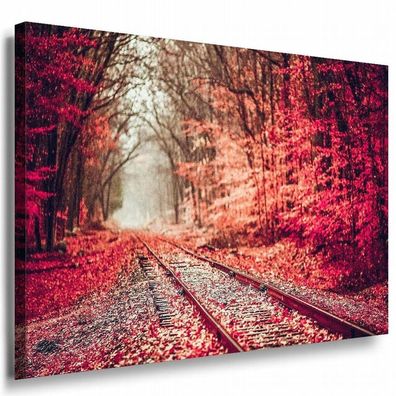 Roter Wakd Schienen Herbst Leinwandbild AK Art Bilder Mehrfarbig Kunstdruck XXL