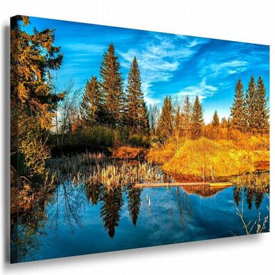 Wald & See Leinwandbild AK Art Bilder Mehrfarbig Wandbild Kunstdruck Wanddeko