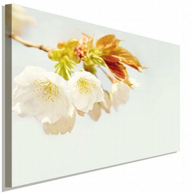 Weiße Blumen Ostern Leinwandbild AK Art Bilder Wanddeko Wandbild Kunstdruck XXL