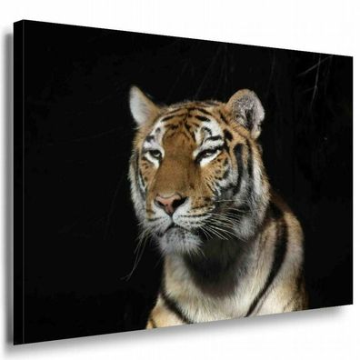 Tiger Leinwandbild AK Art Bilder Mehrfarbig Kunstdruck XXL Wandbild Wanddeko TOP