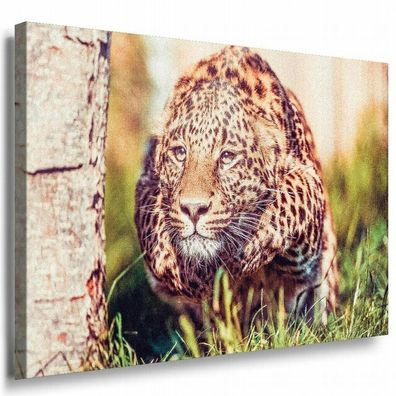 Leopard Jadt Afrika Leinwandbild AK Art Bilder Mehrfarbig Kunstdruck XXL TOP