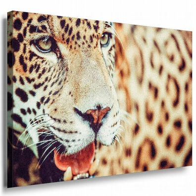 Leopard Afrika Leinwandbild AK Art Bilder Mehrfarbig Kunstdruck XXL Wandbild TOP