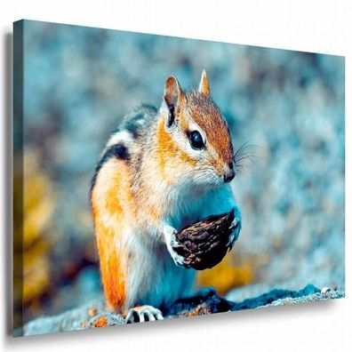 Eichhörnchen mit Eichel Wald Leinwandbild AK Art Bilder Mehrfarbig Kunstdruck