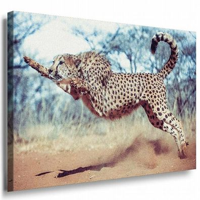 Jaguar kämpft in Afrika Leinwandbild AK Art Bilder Mehrfarbig Kunstdruck XXL