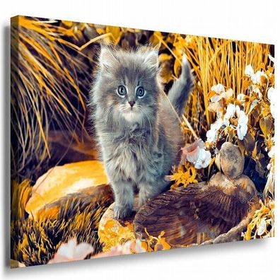 Katze im Wald Leinwandbild AK Art Bilder Mehrfarbig Kunstdruck Wandbild Wanddeko