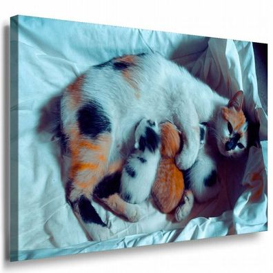 Katze und ihre Kinder Leinwandbild AK Art Bilder Mehrfarbig Kunstdruck XXL TOP
