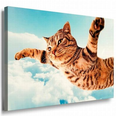 Katze Leinwandbild AK Art Bilder Mehrfarbig Wandbild Kunstdruck Wanddeko TOP XXL