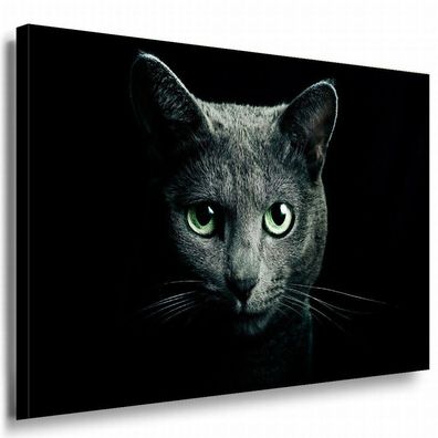 Katze Leinwandbild AK Art Bilder Mehrfarbig Wandbild Kunstdruck Wanddeko TOP XXL