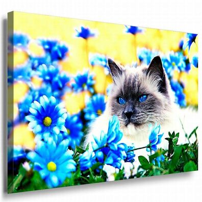 Katze Leinwandbild AK Art Bilder Mehrfarbig Wandbild Kunstdruck Wanddeko TOP XXL