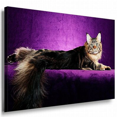 Katze Leinwandbild AK Art Bilder Mehrfarbig Wandbild Kunstdruck Wanddeko TOP XXL
