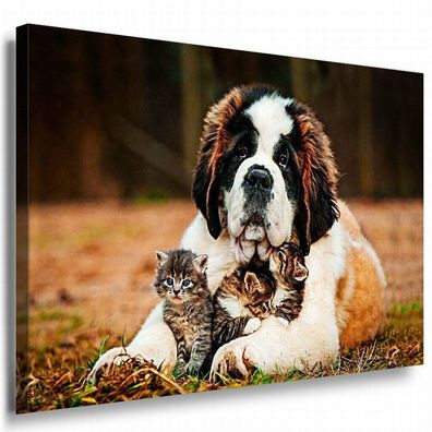 Kätzchen & Hund Leinwandbild AK Art Bilder Mehrfarbig Wandbild Kunstdruck XXL