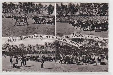54350 Ak Wildpferdefang im Merfelder Bruch bei Dülmen Westf. 1962