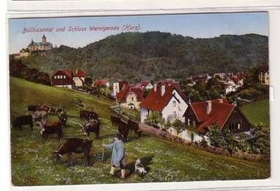 56274 Ak Bollhasental und Schloss Wernigerode (Harz) 1927