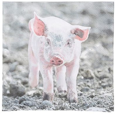 20 Servietten Ferkel auf dem Bauernhof, kleines Schweinchen 33 x 33 cm