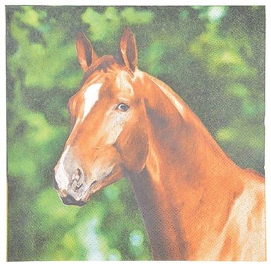 20 Servietten Pferdeportrait, Pferd auf dem Bauernhof 33 x 33 cm