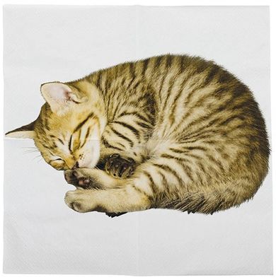 20 Servietten mit schlafendem Kätzchen, Katzen Motiv 33x33 cm
