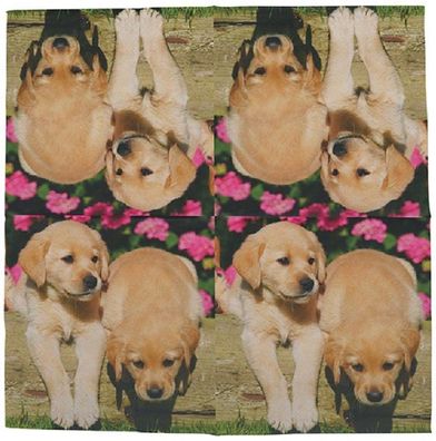 20 Servietten Welpen, putzige Hunde Babys aus Tissue-Papier 33x33 cm