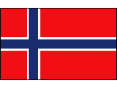 Talamex Gastlandflagge Norwegen 20cm x 30cm