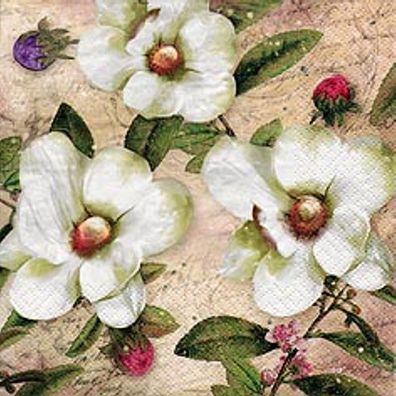 20 Servietten, Drei Weiße Magnolien und Blütenknospen 33x33 cm