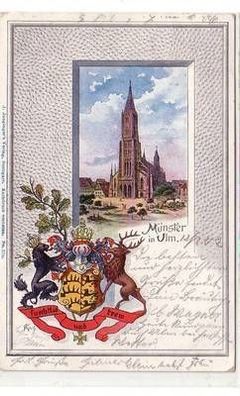 38195 Wappen Ak Münster in Ulm 1902