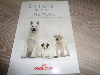 Ein Hund kommt ins Haus - Tipps und Informationen von Royal Canin