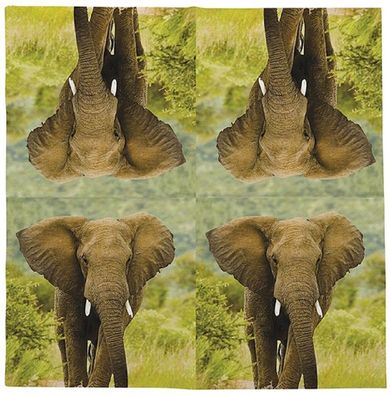 20 Servietten Elefant, Afrikanische Tiere der Elefant 33 x 33 cm