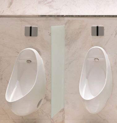 Schamwand, WC Urinal Trennwand, Bidet Trennwand Toiletten Trennwand ESG Glas