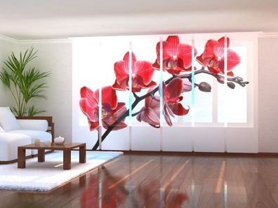 Fotogardine wunderschöne Orchidee Schiebevorhang mit Motiv Flächenvorhang auf Maß