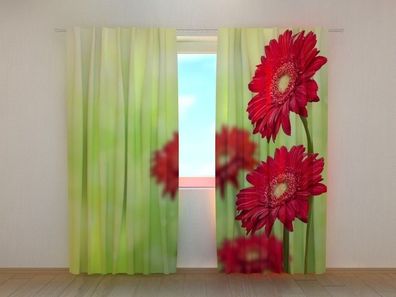 Fotogardine rote Gerbera Vorhang bedruckt Fotovorhang mit Foto Gardine nach Maß