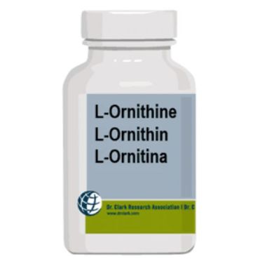 Ornithin, Dr. Clark, 100 Kaps. 500 mg